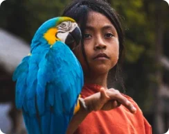 Menina a segurar um pássaro azul