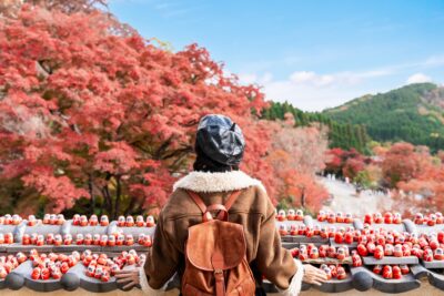 Viagem ao Japão em Novembro